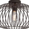 Best Highlight Plafondlamp Bruin Bolato