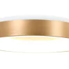 Steinhauer Plafondlamp^Plafondlamp 2562GO Ringlede