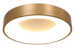 Steinhauer Plafondlamp^Plafondlamp 2562GO Ringlede