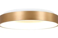Steinhauer Plafondlamp^Plafondlamp 2563GO Ringlede