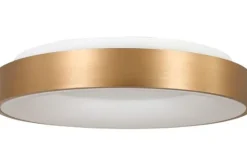 Steinhauer Plafondlamp^Plafondlamp 2563GO Ringlede