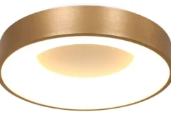 Steinhauer Plafondlamp^Plafondlamp 2563GO Ringlede