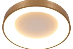 Steinhauer Plafondlamp^Plafondlamp 2563GO Ringlede