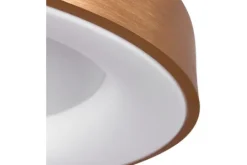 Steinhauer Plafondlamp^Plafondlamp 2563GO Ringlede