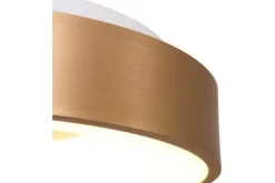 Steinhauer Plafondlamp^Plafondlamp 2563GO Ringlede