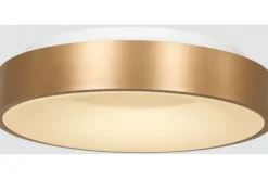Steinhauer Plafondlamp^Plafondlamp 2563GO Ringlede