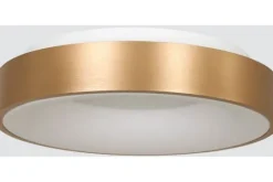 Steinhauer Plafondlamp^Plafondlamp 2563GO Ringlede