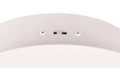 Trio Lighting Plafondlamp^Plafondlamp  Nala