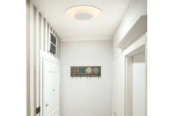Steinhauer Plafondlamp 7797W Ceiling & Wall