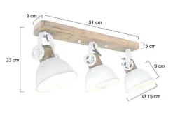 New Steinhauer Plafondlamp 2133W Gearwood Mexlite