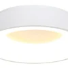 Steinhauer Plafondlamp 2562W Ringlede
