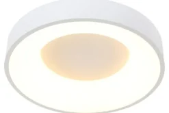 Steinhauer Plafondlamp 2562W Ringlede