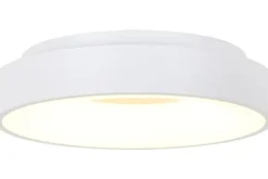 Steinhauer Plafondlamp 2562W Ringlede