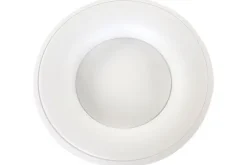 Steinhauer Plafondlamp 2562W Ringlede