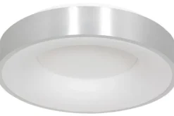 Steinhauer Plafondlamp^Plafondlamp 2563ZI Ringlede