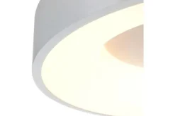 Steinhauer Plafondlamp^Plafondlamp 2563ZI Ringlede