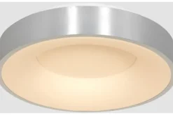 Steinhauer Plafondlamp^Plafondlamp 2563ZI Ringlede