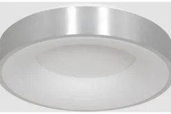 Steinhauer Plafondlamp^Plafondlamp 2563ZI Ringlede