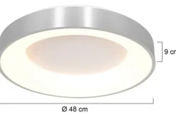 Steinhauer Plafondlamp^Plafondlamp 2563ZI Ringlede