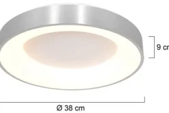 Online Steinhauer Plafondlamp 2562ZI Ringlede