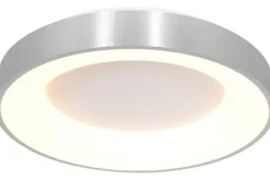 Steinhauer Plafondlamp^Plafondlamp 3086ZI Ringlede