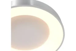 Steinhauer Plafondlamp^Plafondlamp 3086ZI Ringlede