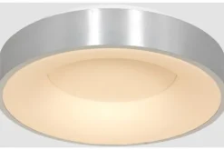 Steinhauer Plafondlamp^Plafondlamp 3086ZI Ringlede