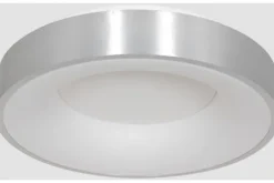 Steinhauer Plafondlamp^Plafondlamp 3086ZI Ringlede