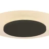 Steinhauer Plafondlamp^Plafondlamp 7797ZW  Ceiling & Wall