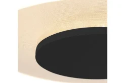 Steinhauer Plafondlamp^Plafondlamp 7797ZW  Ceiling & Wall