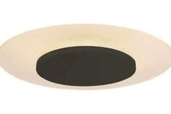 Steinhauer Plafondlamp^Plafondlamp 7799ZW Ceiling & Wall