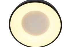 Steinhauer Plafondlamp^Plafondlamp 2562ZW Ringlede