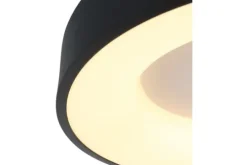 Steinhauer Plafondlamp^Plafondlamp 2562ZW Ringlede