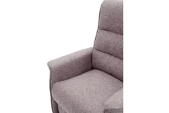 Danish Design Sta Op Stoelen|Relaxstoelen^Relaxfauteuil Mettet