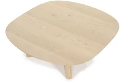 Eleonora Meubelen Salontafels^Salontafel naturel Stef