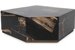 PTMD Salontafels^Salontafel Petrified Wood Large 706817 Rayn
