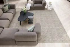 Online Brinker Vloerkleed 01 Basilicaal |