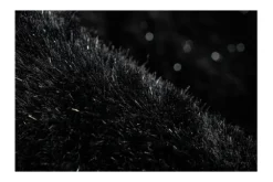 ET Rugs Vloerkleden^Vloerkleed 600 black Asosa