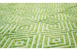 Divendo Vloerkleden^Vloerkleed 310 Groen Aperitif