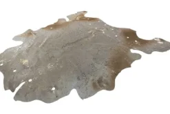 New Divendo Vloerkleed 110 Ivoor Goud Glam