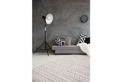 Divendo Vloerkleden^Vloerkleed 410 Naturel Zilver Natura