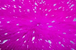 Divendo Vloerkleden^Vloerkleed 410 Violet Zilver Glam