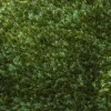 Brinker Vloerkleden^Vloerkleed 474 Viterbo CS |