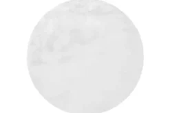 Divendo Vloerkleden^Vloerkleed 100 Wit Rabbit