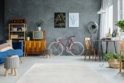 Divendo Vloerkleden^Vloerkleed 100 Wit Rabbit