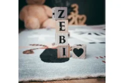 Online Viviendo Vloerkleed 624 Zebra Greta