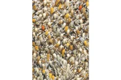 Sale Brink & Campman Vloerkleed Calendula 59103 Spring |