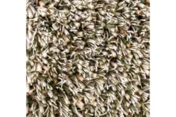 New Brink & Campman Vloerkleed Fresh Hay 59137 Spring |