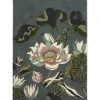 Discount Wedgwood Home Vloerkleed Midnight Pond 038608 Waterlily |