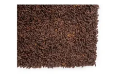 Best Brinker Vloerkleed Natural Beige 522 Berbero Lungo |